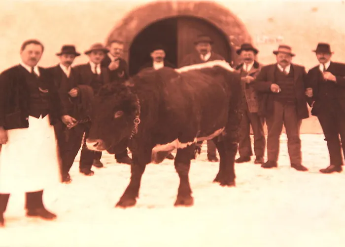 Guest house Landgasthof Santner